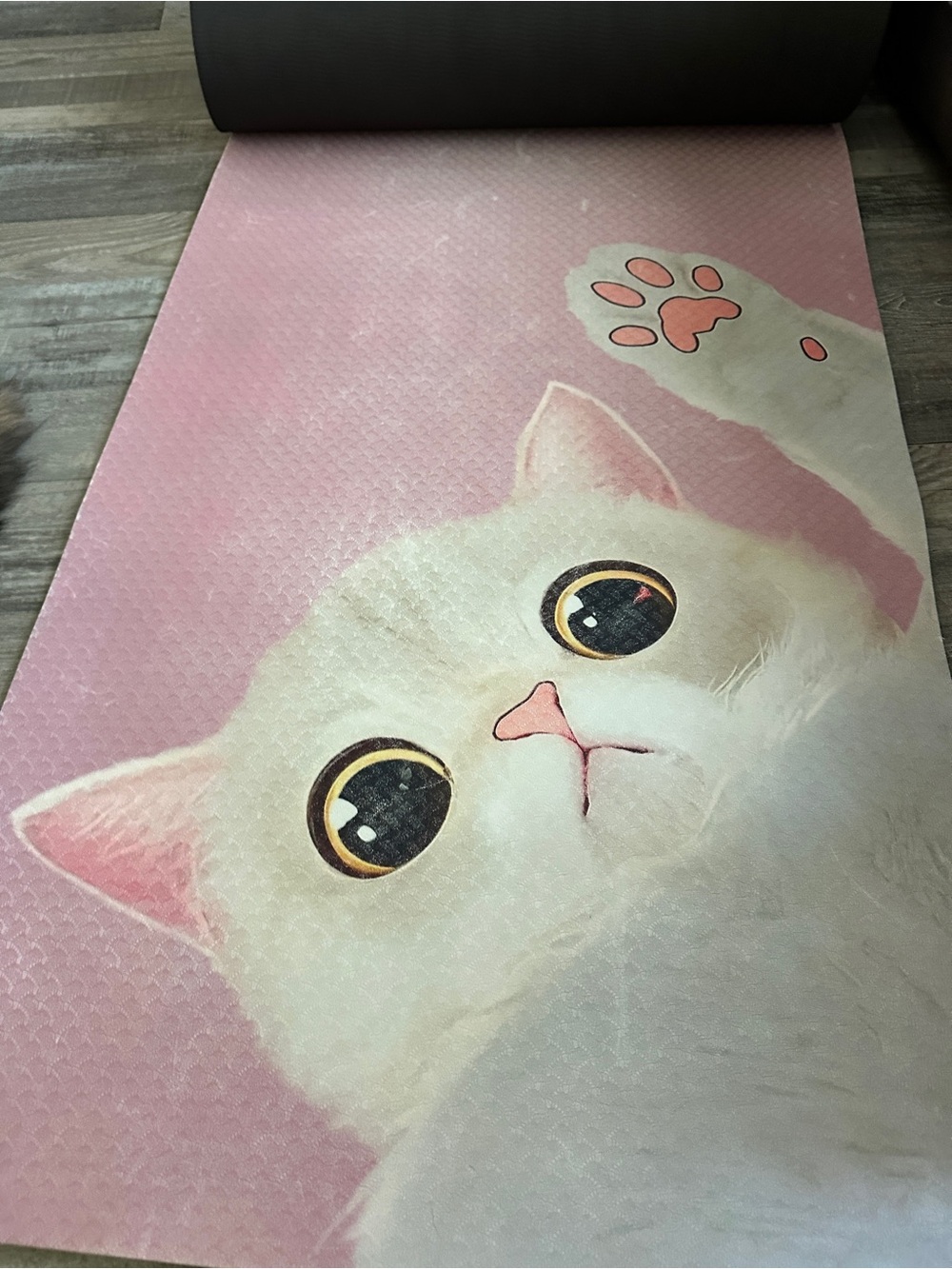Cute White Cat Print Pink yoga Mat